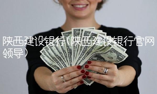 陕西建设银行(陕西建设银行官网领导)