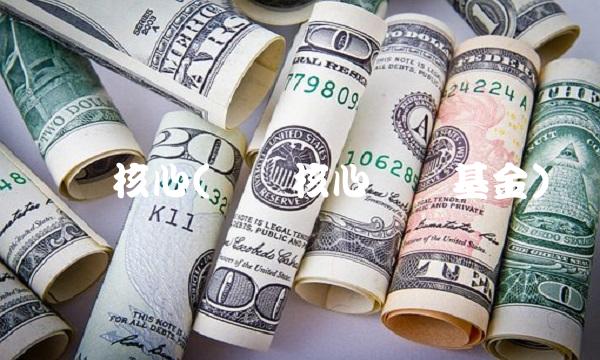 广发核心(广发核心优选基金)