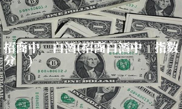 招商中证白酒(招商白酒中证指数分级)