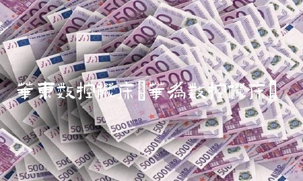 华东数控机床(华为数控机床)
