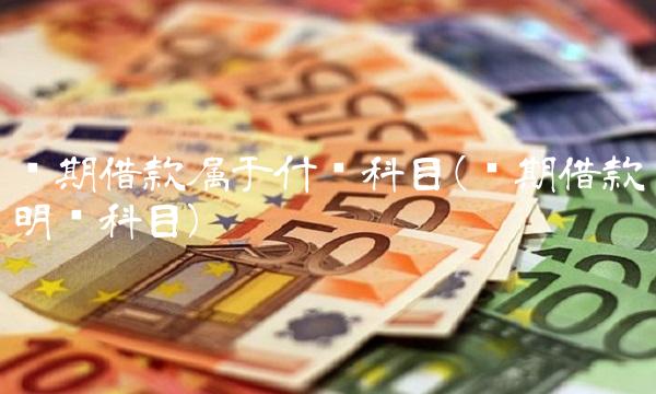 长期借款属于什么科目(长期借款明细科目)