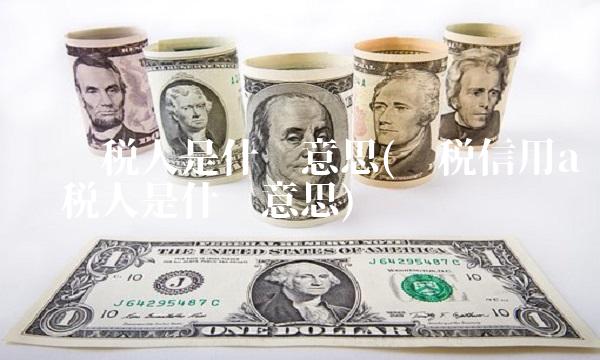 级纳税人是什么意思(纳税信用a级纳税人是什么意思)