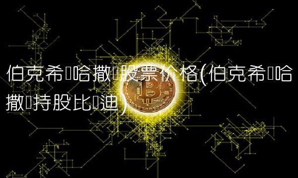 伯克希尔哈撒韦股票价格(伯克希尔哈撒韦持股比亚迪)
