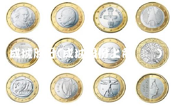 成城股份(成城股份上市时间)