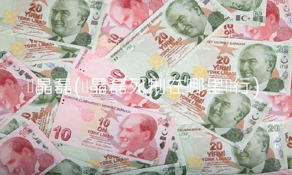 孙晶磊(孙晶磊死刑在哪里执行)