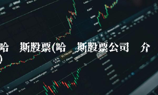 哈尔斯股票(哈尔斯股票公司简介)