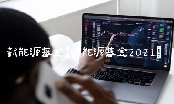 新能源基金(新能源基金2021)