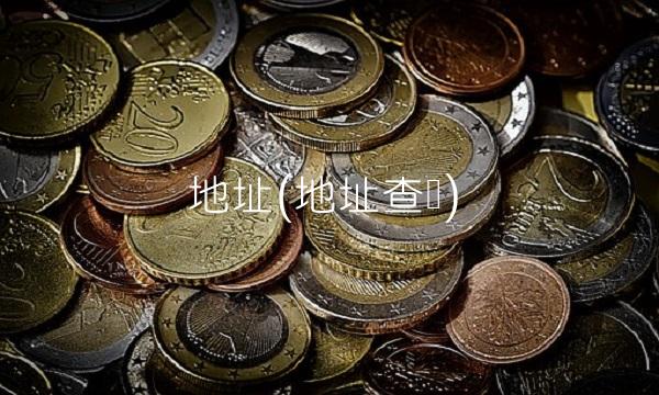 地址(地址查询)