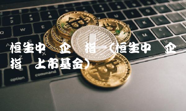 恒生**企业指数(恒生**企业指数上市基金)