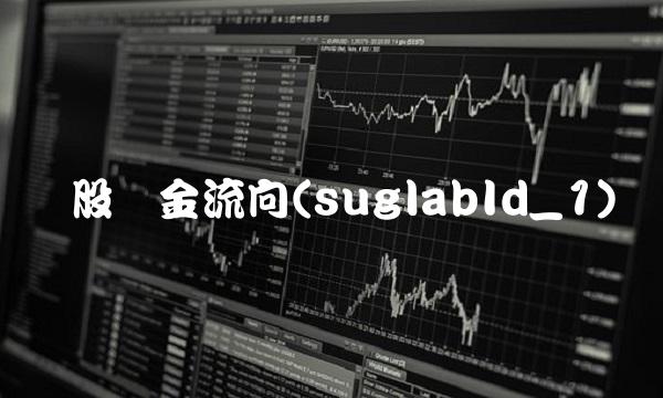 个股资金流向(suglabId_1)