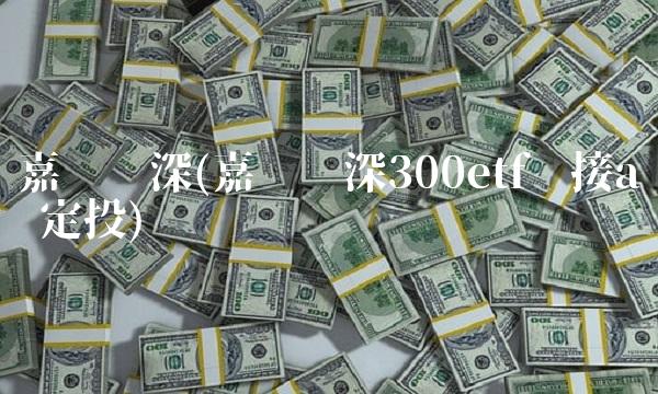 嘉实沪深(嘉实沪深300etf联接a 定投)