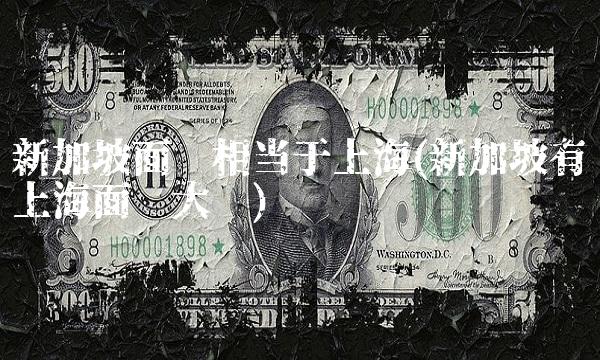 新加坡面积相当于上海(新加坡有上海面积大吗)