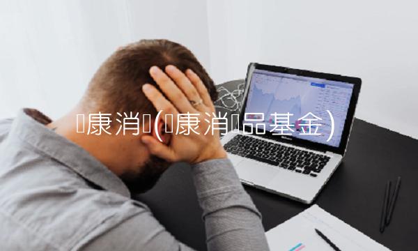 宝康消费(宝康消费品基金)