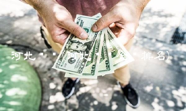 河北钢铁(河北钢铁企业排名)