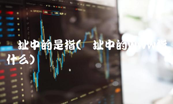 网址中的是指(网址中的www指什么)