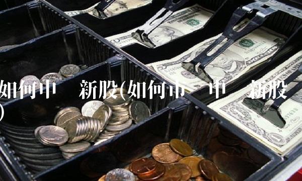 如何申购新股(如何市值申购新股)