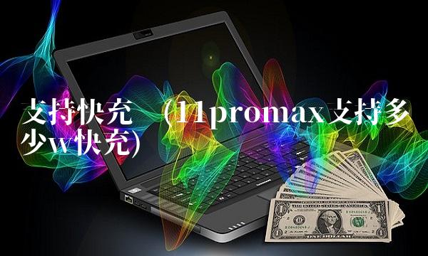 支持快充吗(11promax支持多少w快充)