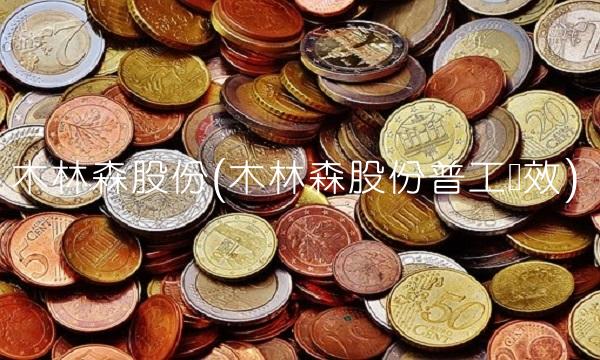 木林森股份(木林森股份普工绩效)