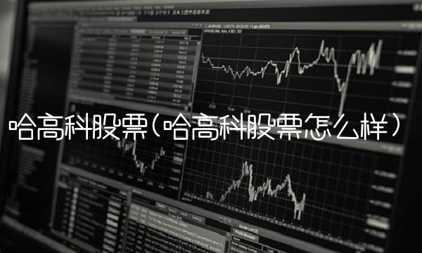 哈高科股票(哈高科股票怎么样)