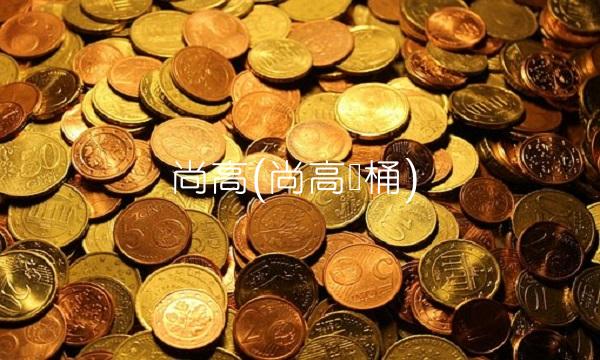 尚高(尚高马桶)