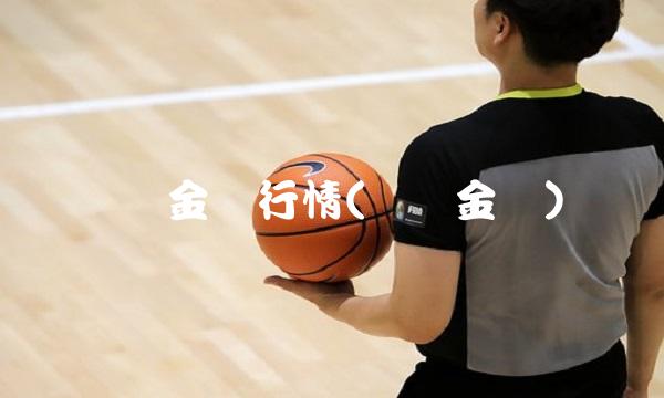 **金价行情(**金价)