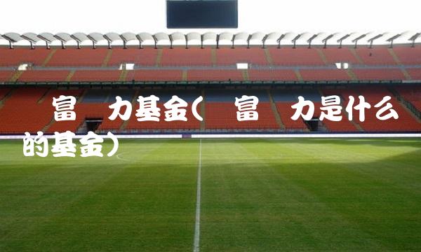 国富潜力基金(国富潜力是什么样的基金)