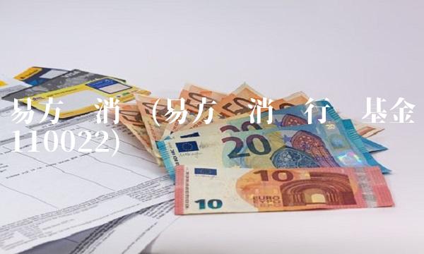 易方达消费(易方达消费行业基金110022)