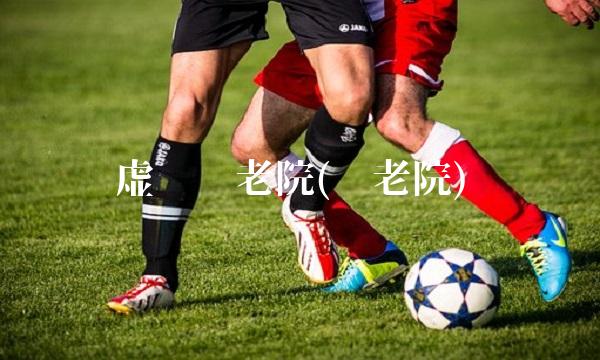 虚拟养老院(养老院)