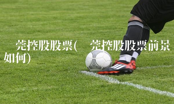 东莞控股股票(东莞控股股票前景如何)