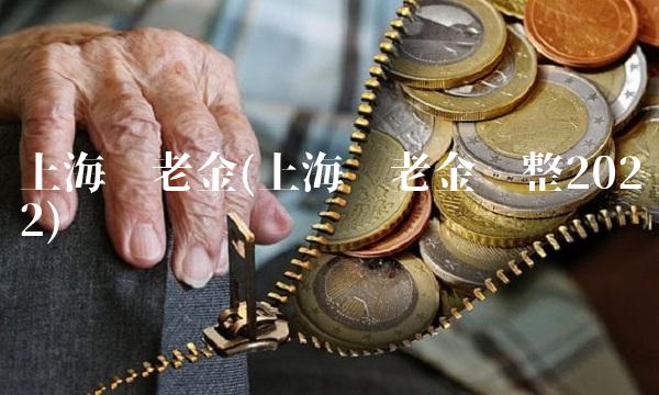 上海养老金(上海养老金调整2022)