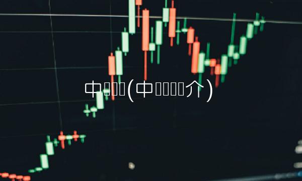 中铝**(中铝**简介)