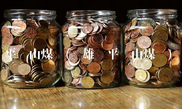 平顶山煤业(镇雄县平顶山煤业)