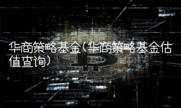 华商策略基金(华商策略基金估值查询)