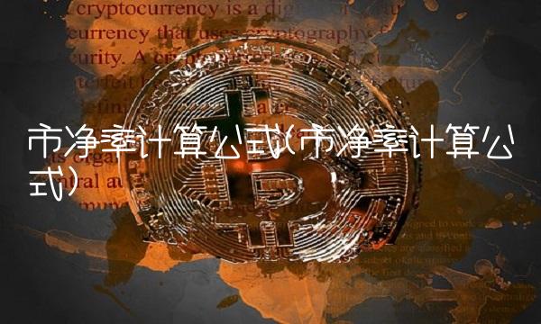 市净率计算公式(市净率计算公式)