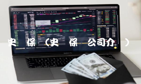 史带保险(史带保险公司介绍)