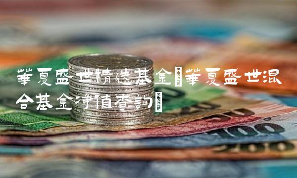 华夏盛世精选基金(华夏盛世混合基金净值查询)