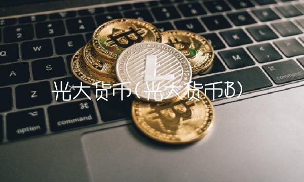 光大货币(光大货币B)