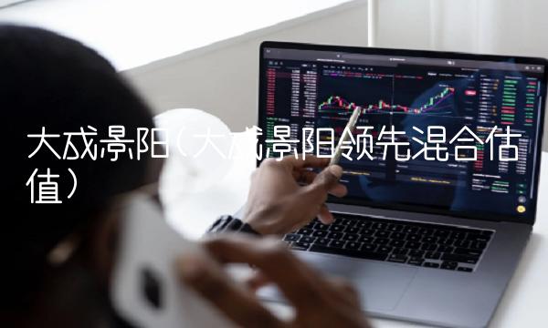 大成景阳(大成景阳**混合估值)