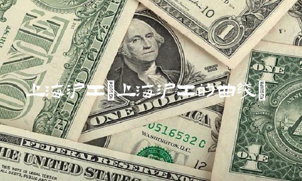 上海沪工(上海沪工的曲线)