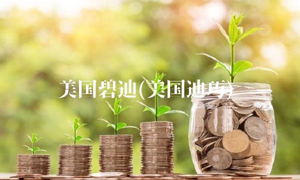 美国碧迪(美国迪巧)