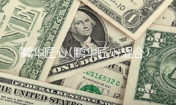 鹏华匠心(鹏华匠心混合) 鹏华匠心(鹏华匠心混合)