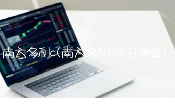 南方多利c(南方多利c今日净值)