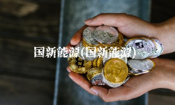 国新能源(国新能源)