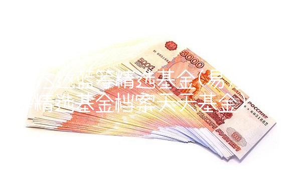 易方达蓝筹精选基金(易方达蓝筹精选基金档案天天基金)
