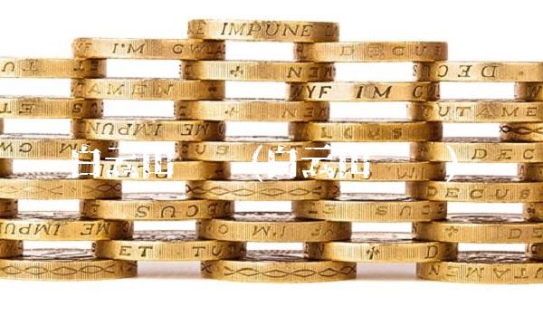 白云山药业(白云山药业)