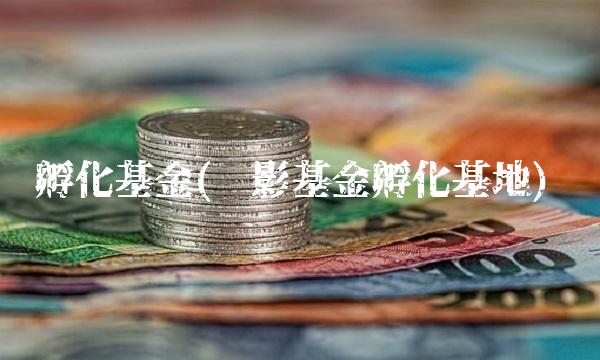 孵化基金(电影基金孵化基地)