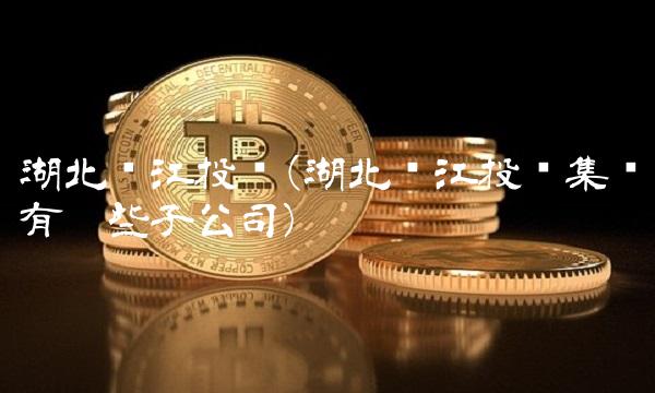 湖北长江投资(湖北长江投资集团有哪些子公司)