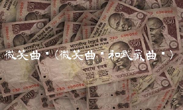 微笑曲线(微笑曲线和武藏曲线) 微笑曲线(微笑曲线和武藏曲线)