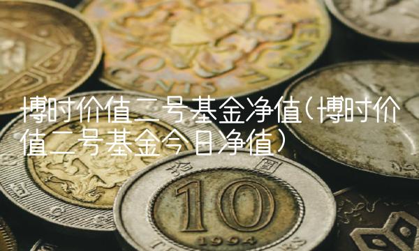 博时价值二号基金净值(博时价值二号基金今日净值)