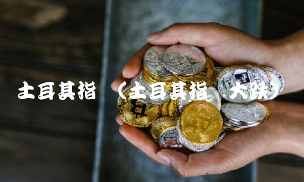 土耳其指数(土耳其指数大跌)